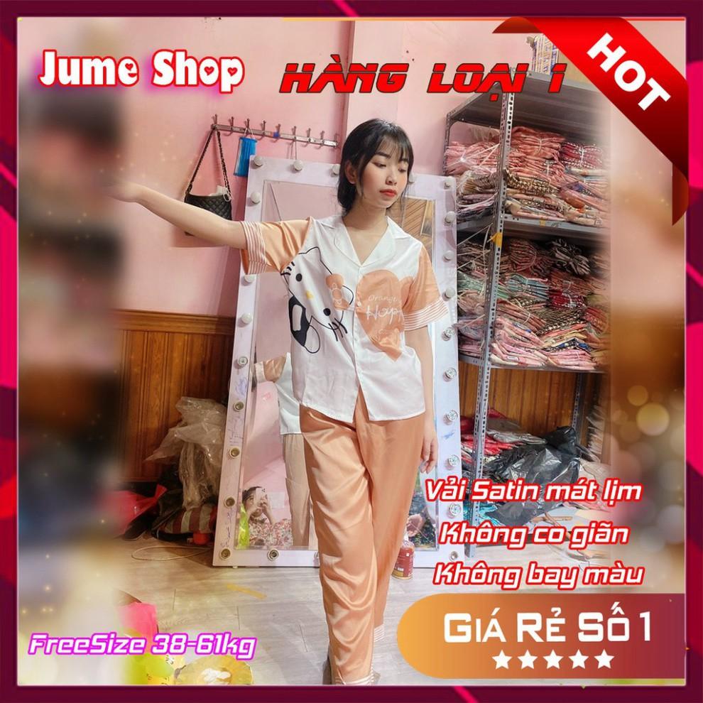 freeship Đồ Bộ Pijama HÀNG ĐẸP CHUẨN Bộ Lụa Pijama Cộc-Dài Thiết Kế in 3D Hoạ Tiết Sang Chảnh