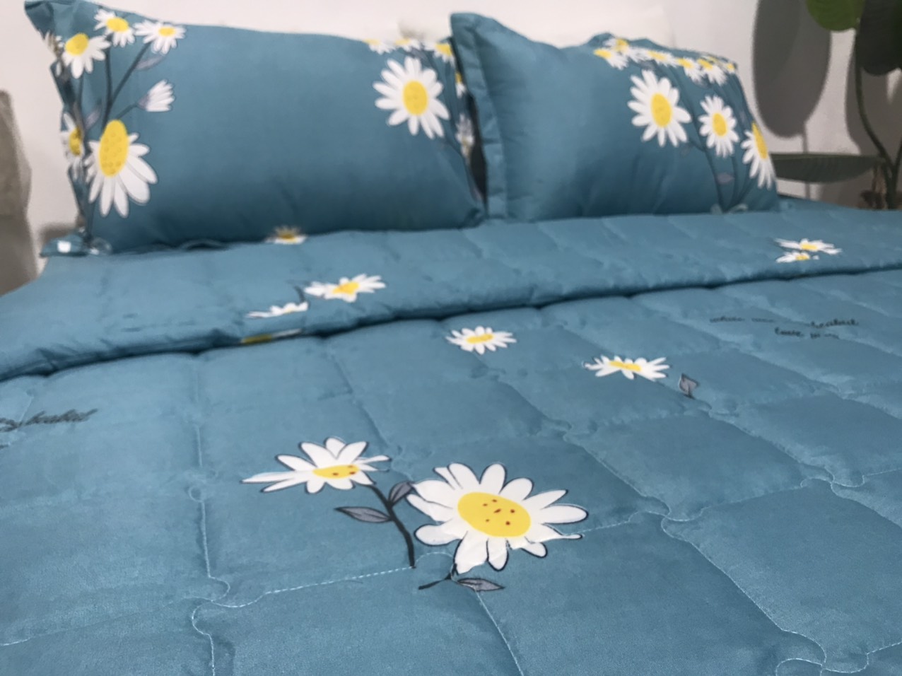 Bộ Chăn Ga Gối Hè Thu 5 Món Mã CH205