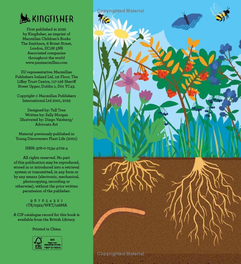 Sách ngoại văn: Discover It Yourself - Plants And Flowers