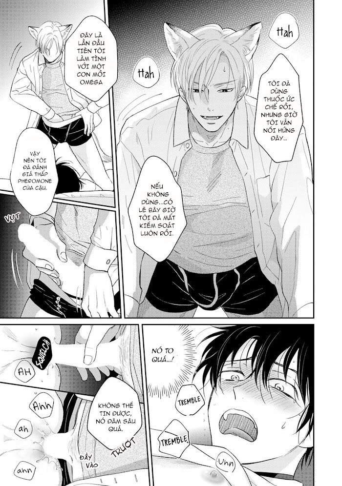 khiến một omega tuyệt hảo rít lên chapter 1 26