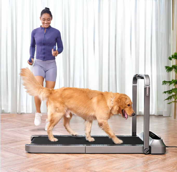 Máy Chạy Bộ Gấp Gọn XIAOMI KingSmith Walkingpad R2 Gấp Gọn Gồm 2 Chế Độ Chạy Có Kết Nối App Công Suất 918 W - Hàng Chính Hãng