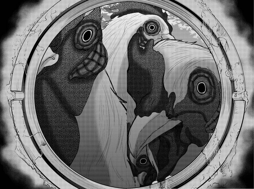 tiếng gáy sát thủ chapter 7 12