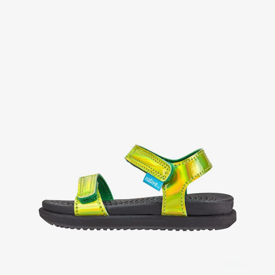 Giày Sandals Trẻ Em Unisex NATIVE Charley Hologram Junior - Picnic Green Hologram/ Jiffy Black/ Jiffy Black