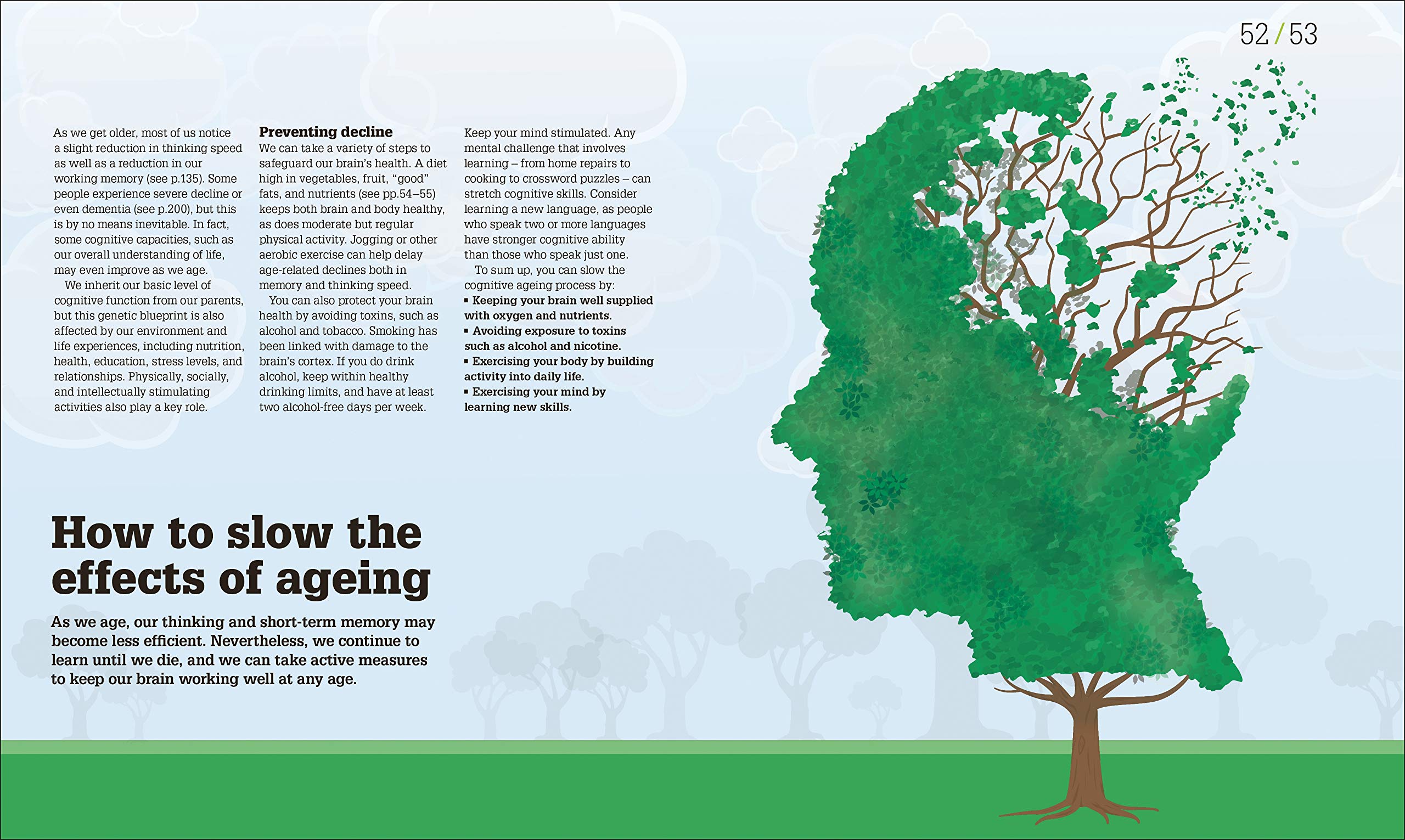 How The Brain Works: The Facts Visually Explained (How It Works)