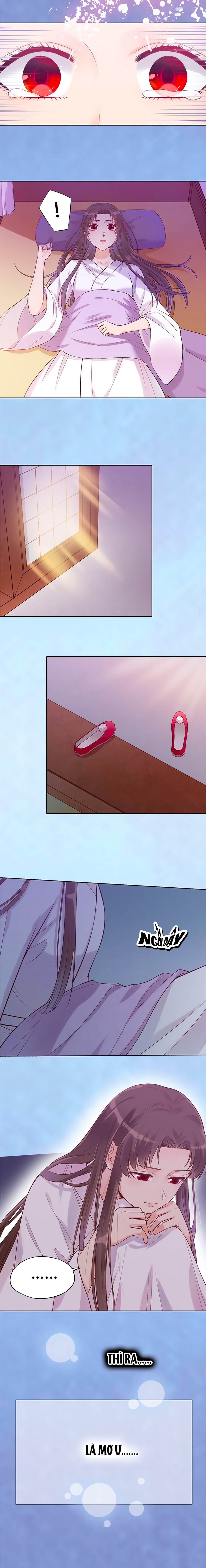 mỹ nhân già rồi chapter 31 3