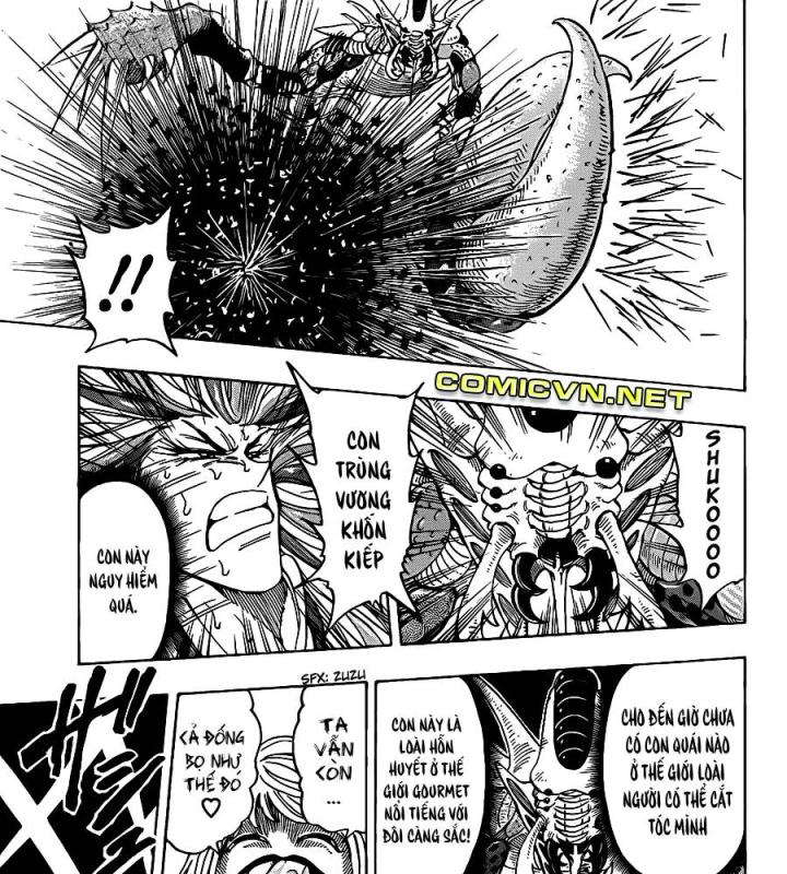 thánh tỏi sành ăn chapter 225 16