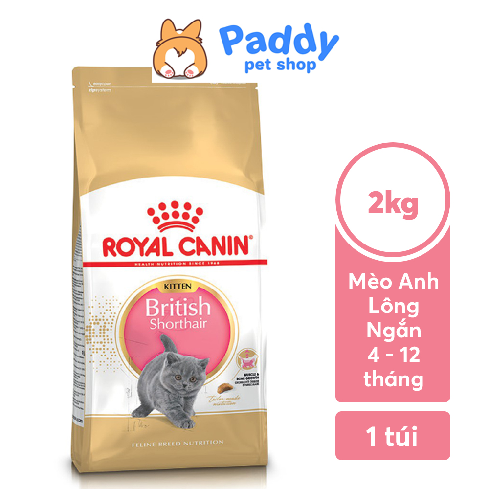 Hình ảnh [400g] Hạt Royal Canin British Shorthair Kitten Cho Mèo Anh Lông Ngắn Nhỏ