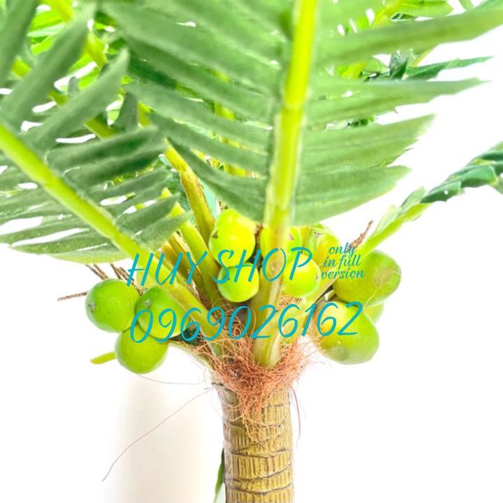 Chậu cây Trái DỪA nhân tạo trang trí nhà cửa