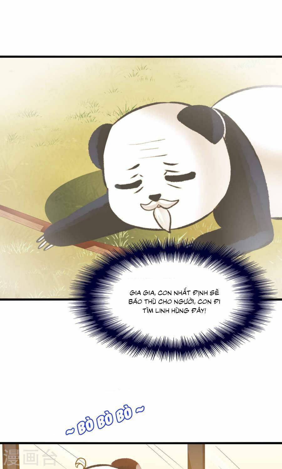 tôi bị gấu trúc nhìn trúng rồi chapter 13 4