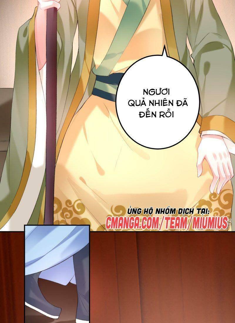 vương gia, áo lót của ngươi rơi mất rồi chapter 74 13