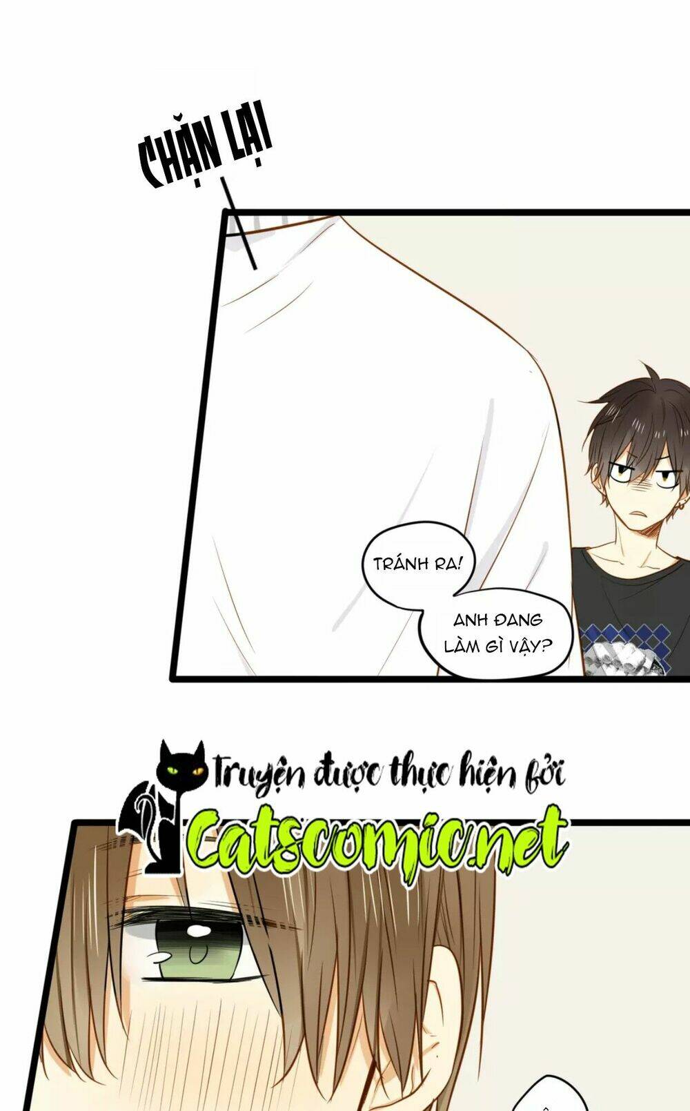 điều giáo quan hệ chapter 19 30