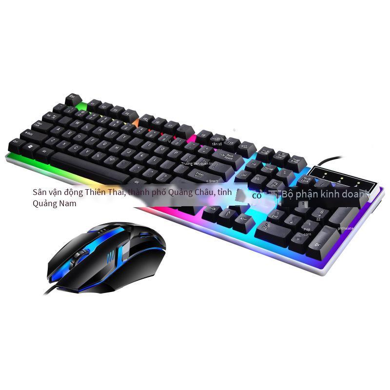 Phong Cách Mới Nhất Đuổi Theo Ánh Sáng Da Báo G21B Nhiều Màu Sắc Dạ Quang USB Có Dây Bộ Bàn Phím Và Chuột Văn Phòng Kinh Doanh Trò Chơi Tự Làm Giao Hàng