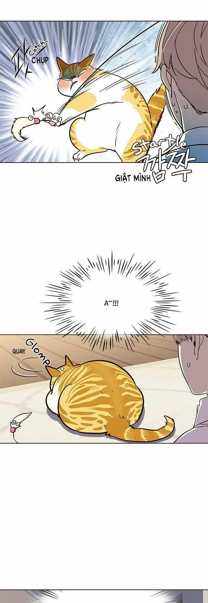 biến thân thành mèo chapter 16 23