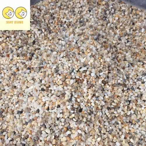 Sỏi suối tự nhiên dùng trải nền hồ cá thủy sinh
