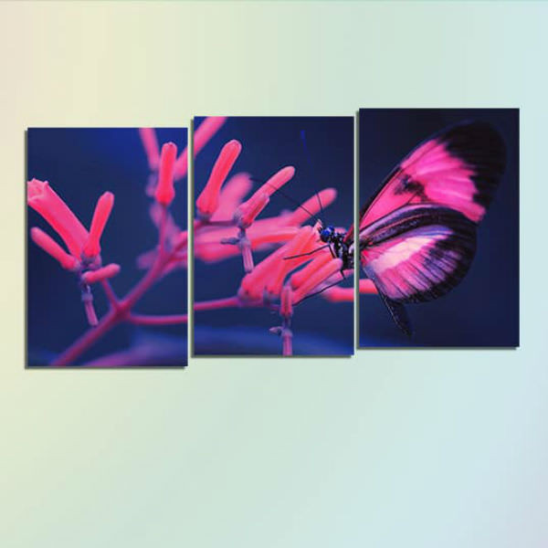 Bộ 3 Tranh Canvas Không Viền Treo Tường Về Hoa Và Bướm W538