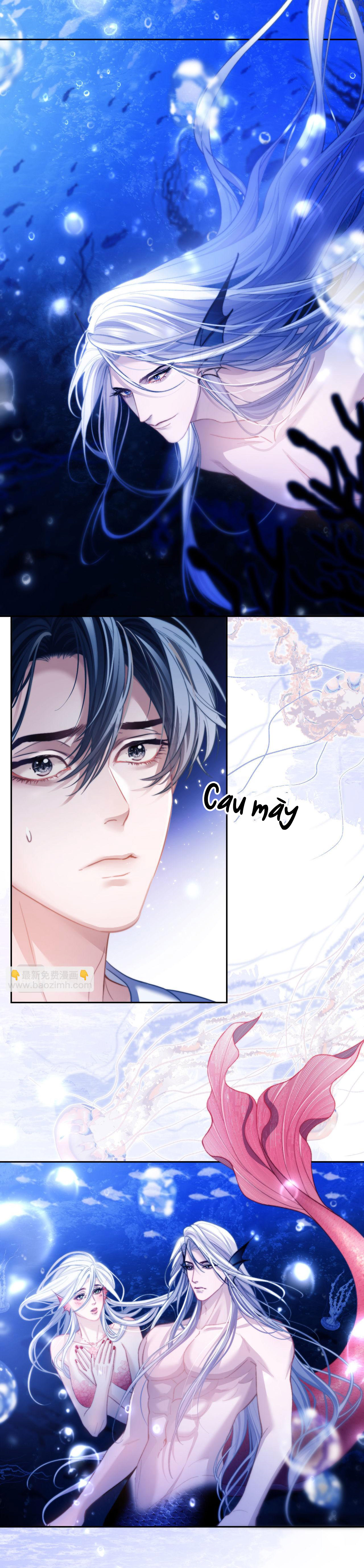 nhân ngư dessaro chapter 12 13