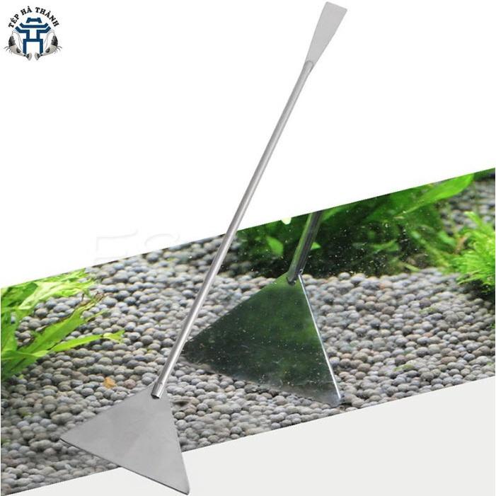 Cây San Nền Giúp Setup Cho Bể Cá Cảnh - Bể Thủy Sinh