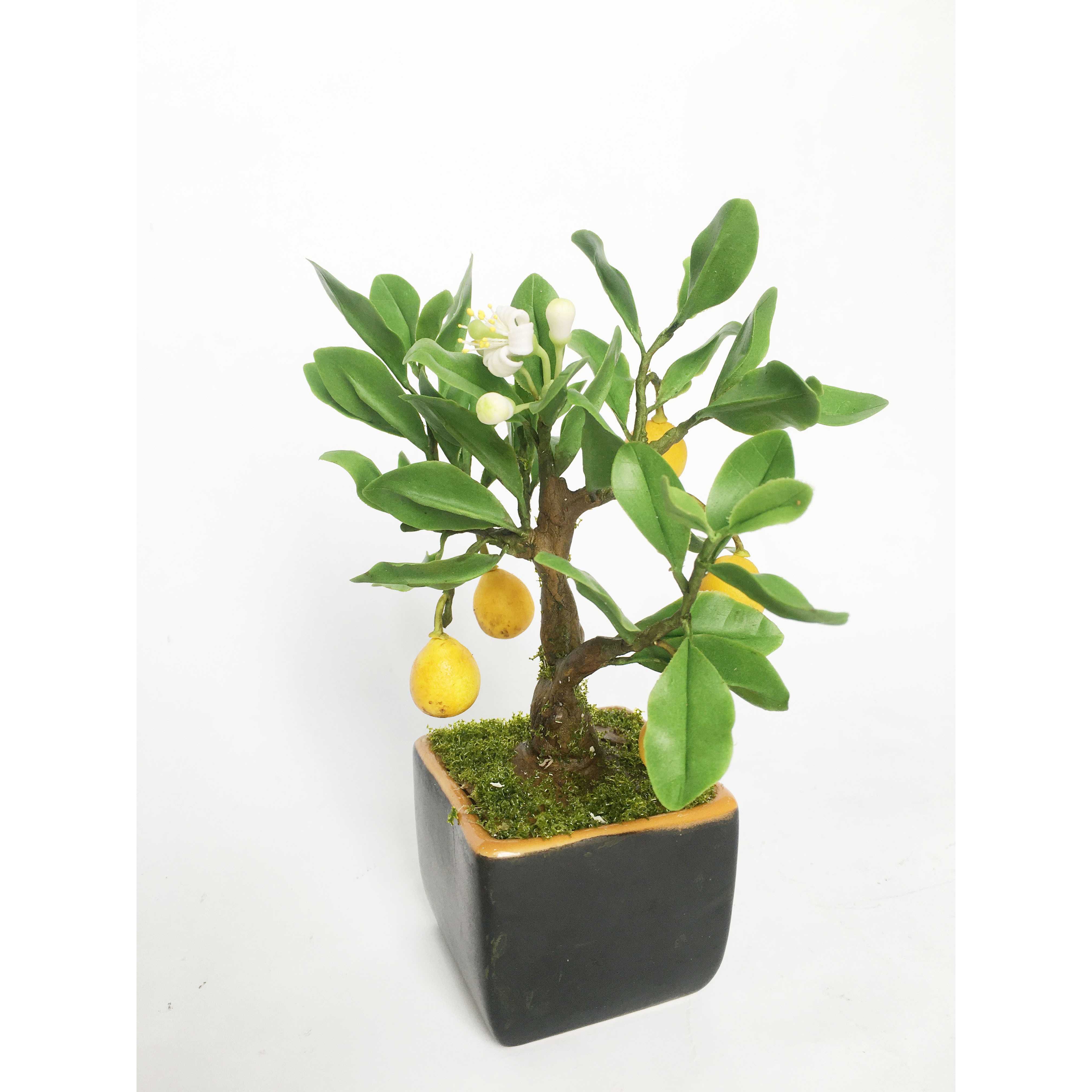 Chậu hoa đất sét mini- Bonsai bưởi - Quà tặng trang trí handmade