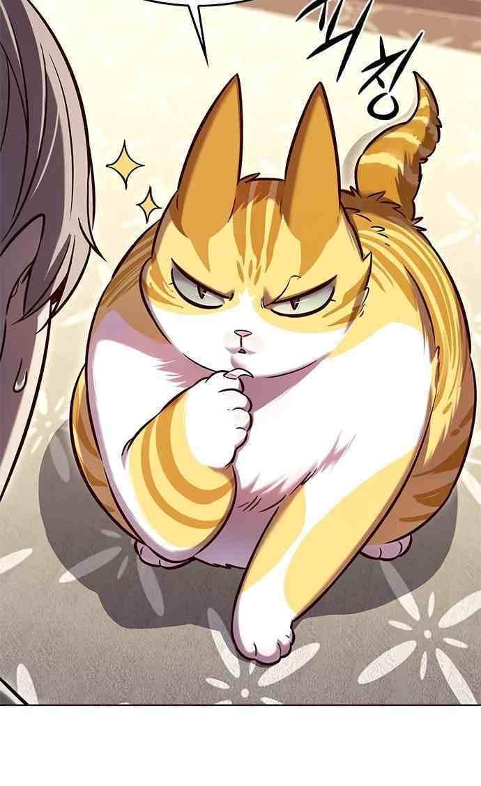 biến thân thành mèo chapter 231 28