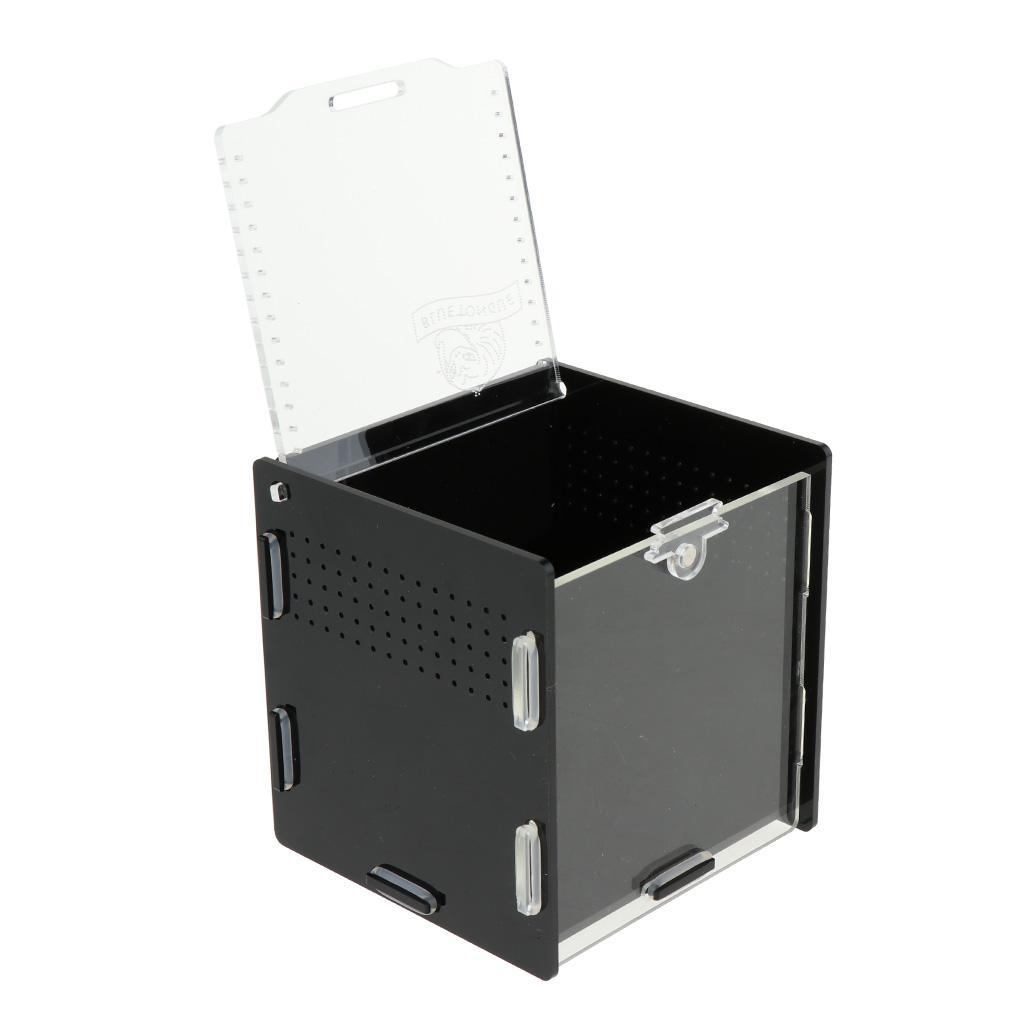 Reptile Vivarium Terrarium