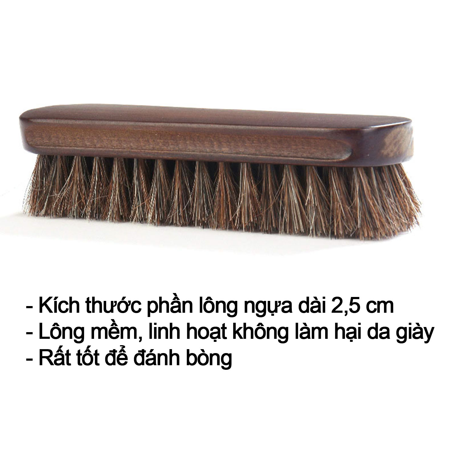 Bàn chải đánh giày lông ngựa P140 vệ sinh đánh bóng giày