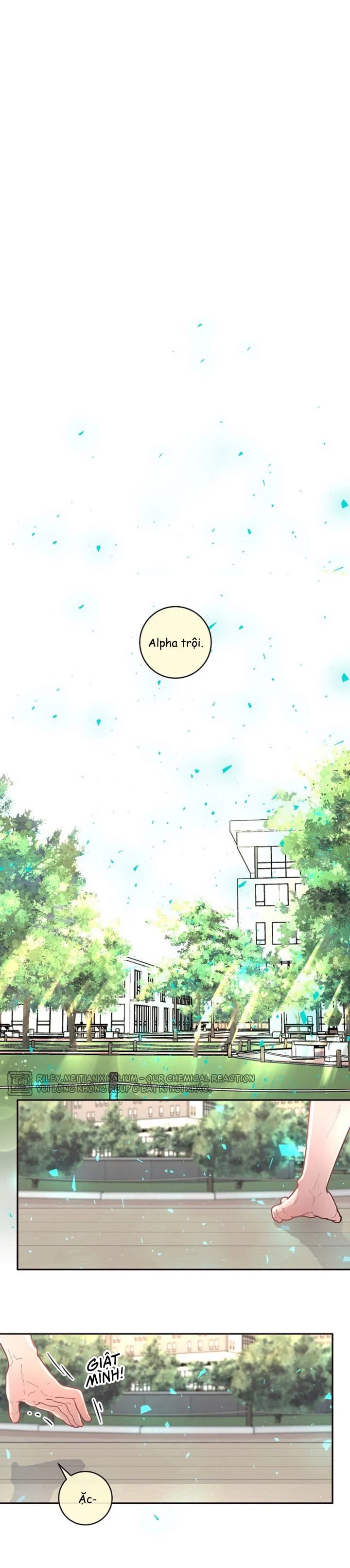 làm cách nào để theo đuổi một alpha? chapter 29 1
