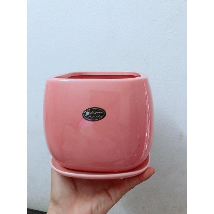 Chậu Trồng Cây