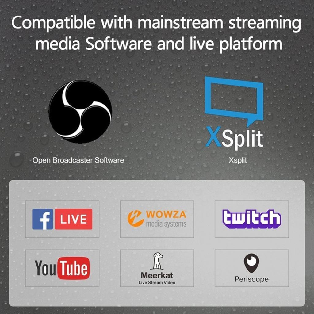 2x  HDMI  to  USB  Video  Capture  Card  Grabber  Game / Video  Live