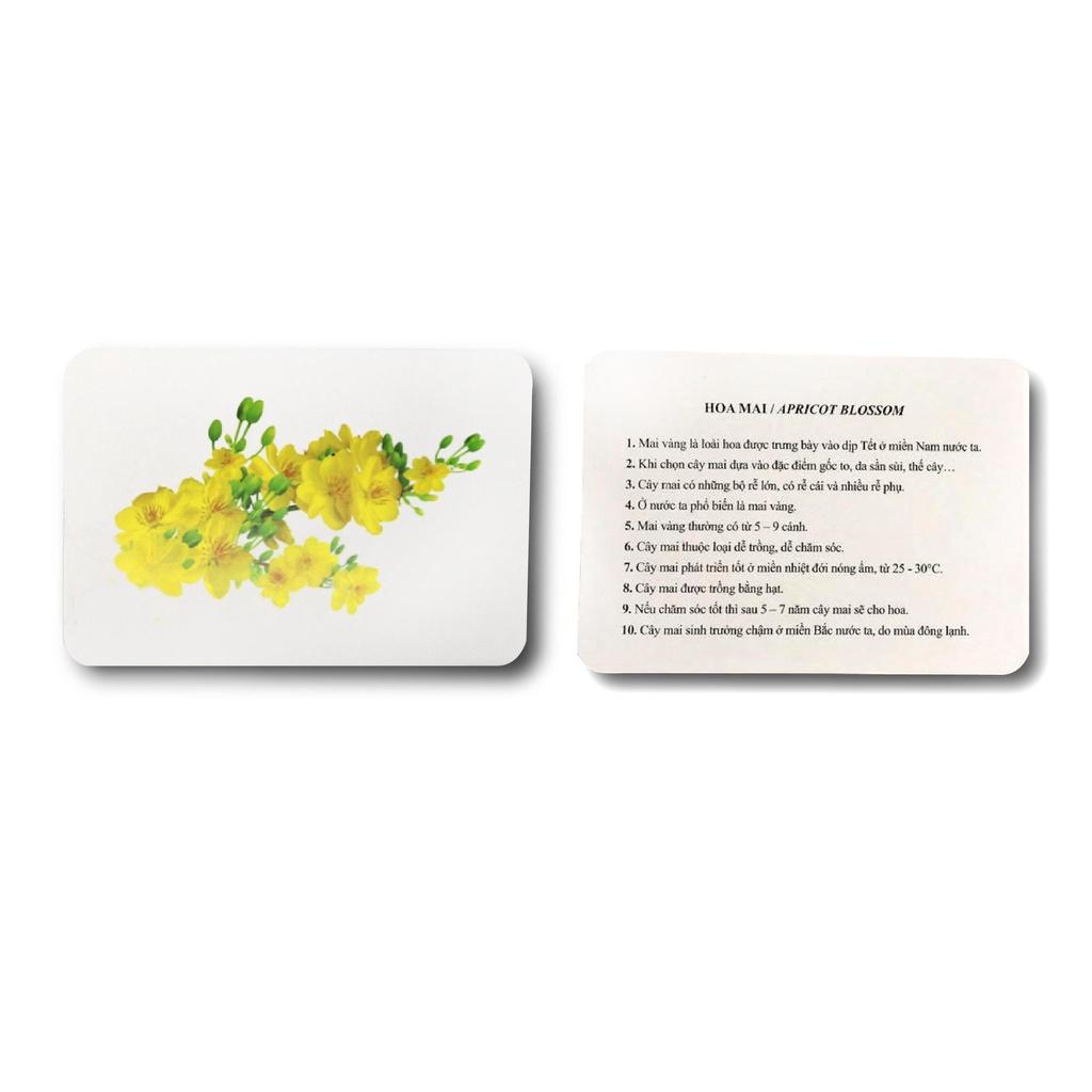 THẺ HỌC THẾ GIỚI XUNG QUANH - 10 CHỦ ĐỀ - 100 THẺ- Flash Card Chuẩn Glenn Doman