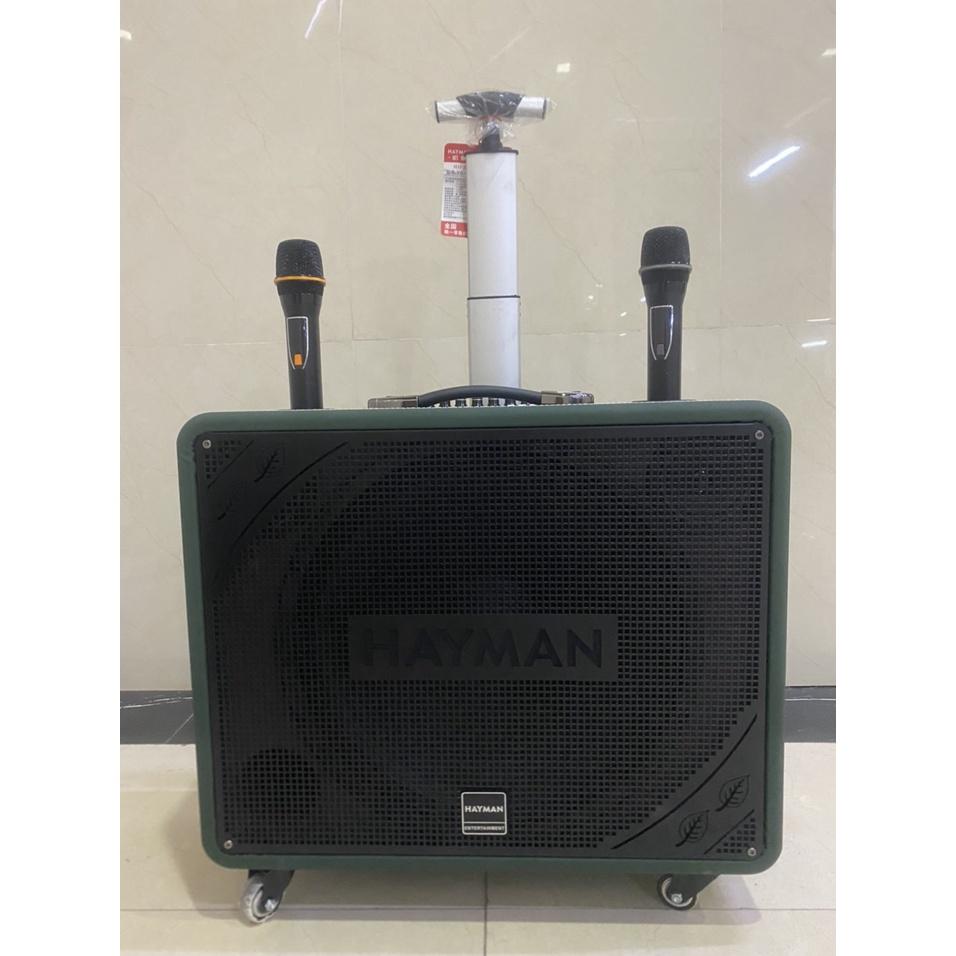 Loa kéo di động Karaoke Hayman X8-15 ( 2 Micro)