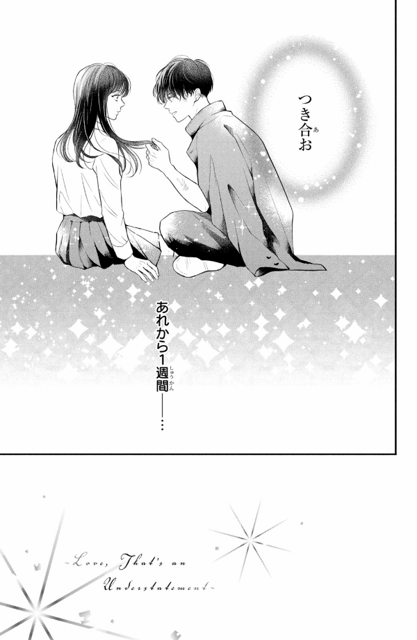 Hikaeme Ni Ittemo, Kore Wa Ai 3 - Love, That's An Understatement (Japanese Edition)