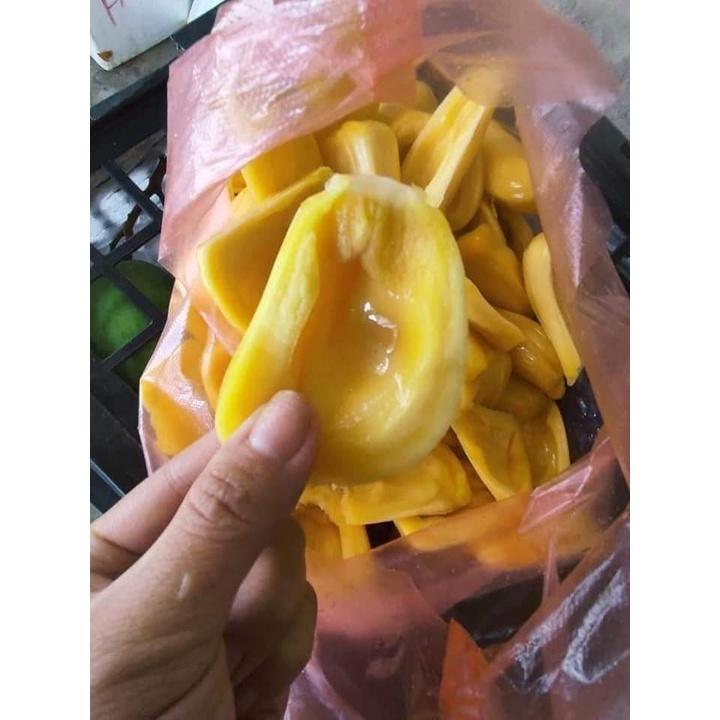 CÂY GIỐNG MÍT DAI MẬT ỐNG
