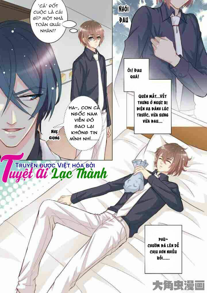 the stars are not luminous body chapter 25 4