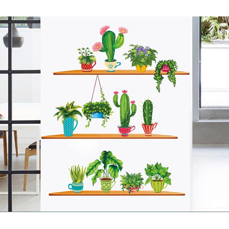 Decal trang trí tường Nhiều Chậu Xương Rồng