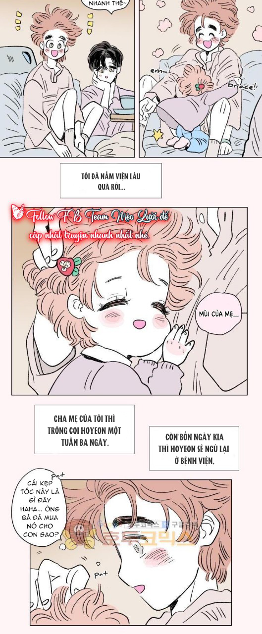 câu chuyện của hosik chapter 77 15