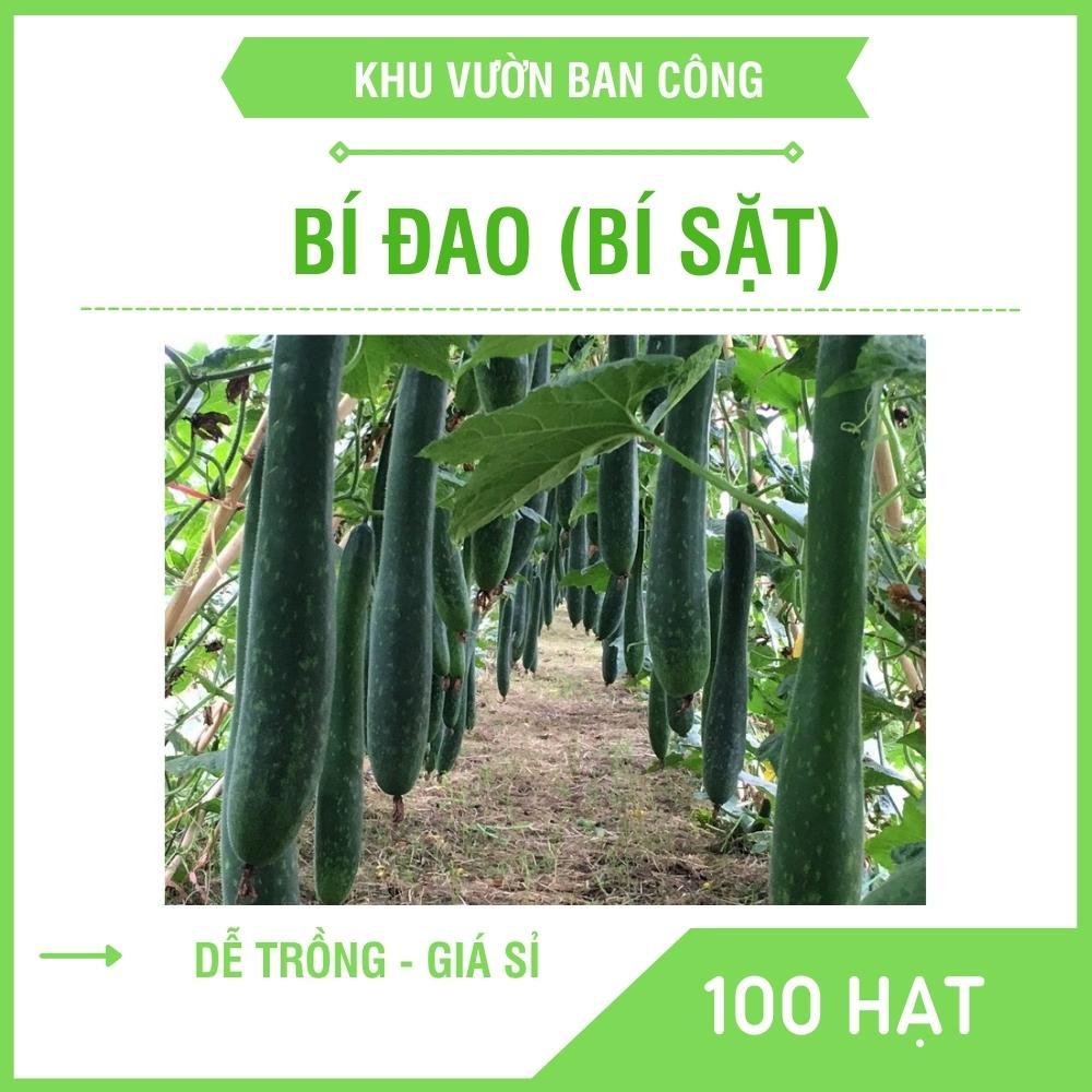 Hạt giống Bí Đao Xanh Cao Sản (Bí Đao Sặt) Học Làm Vườn Gía Dùng Thử - Khu Vườn Ban Công