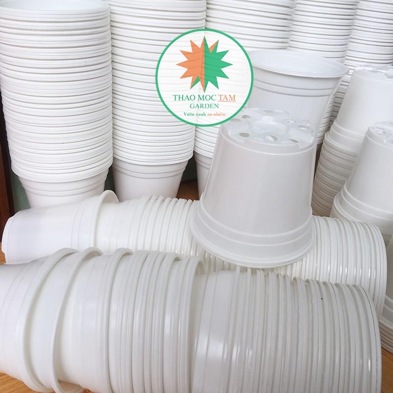 Combo 20 Chậu nhựa trồng hoa, ươm cây chất lượng cao - Kích thước 120x106mm
