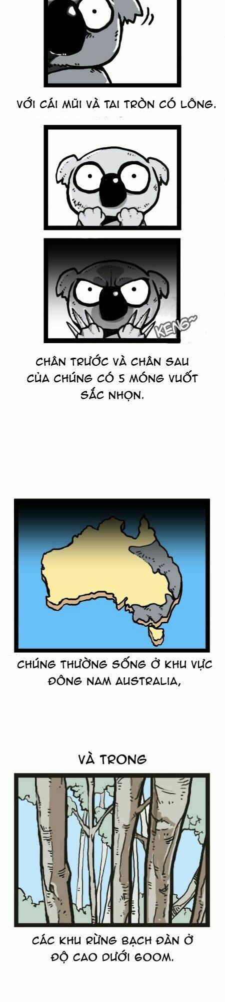 earth, human, and animal chapter 25 8