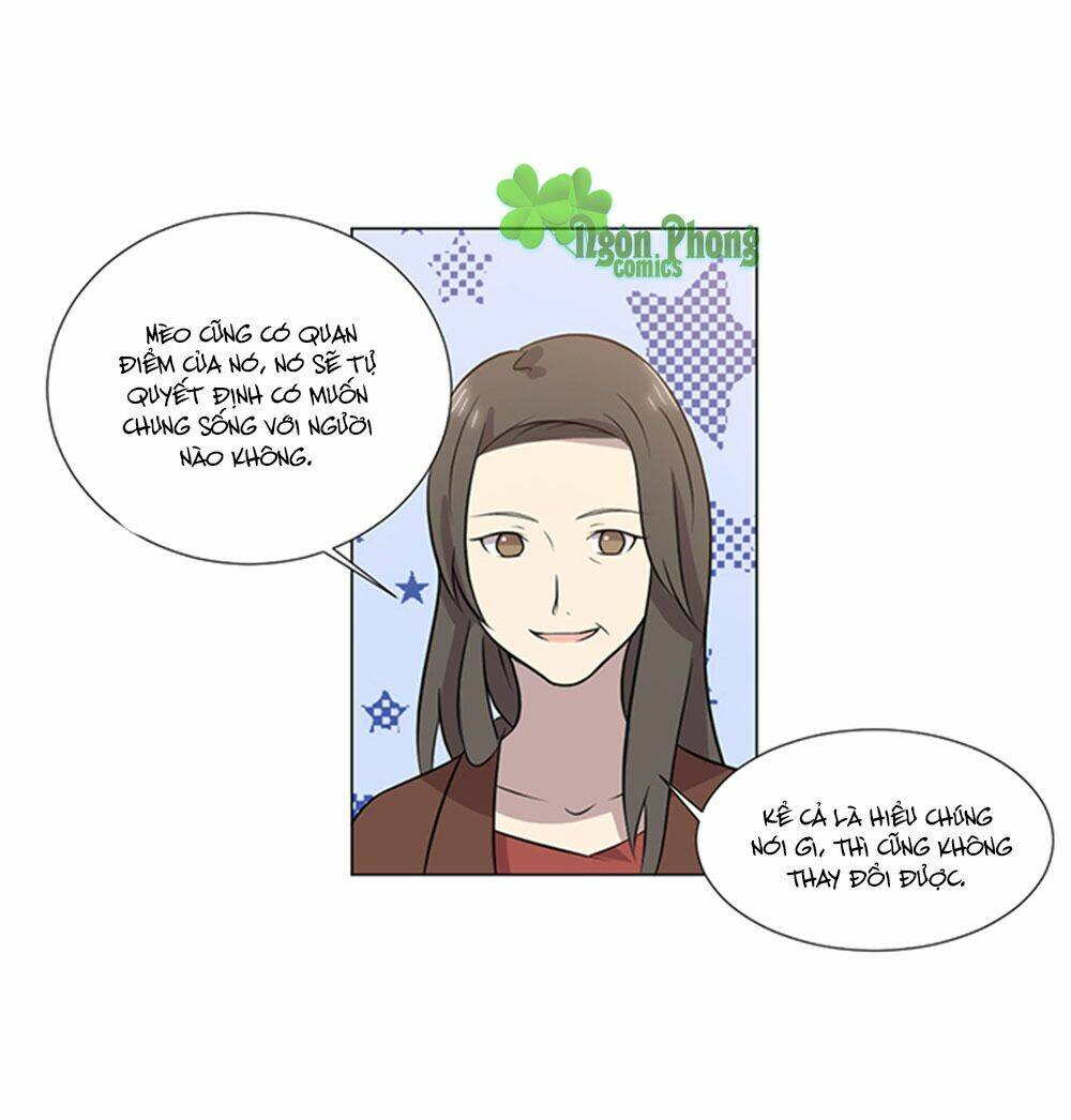 hai chú mèo totem chapter 39 51