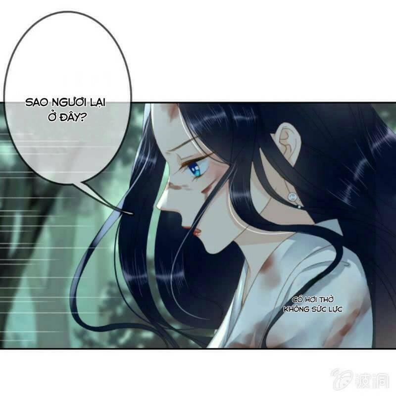 sủng phi của vương chapter 170 37