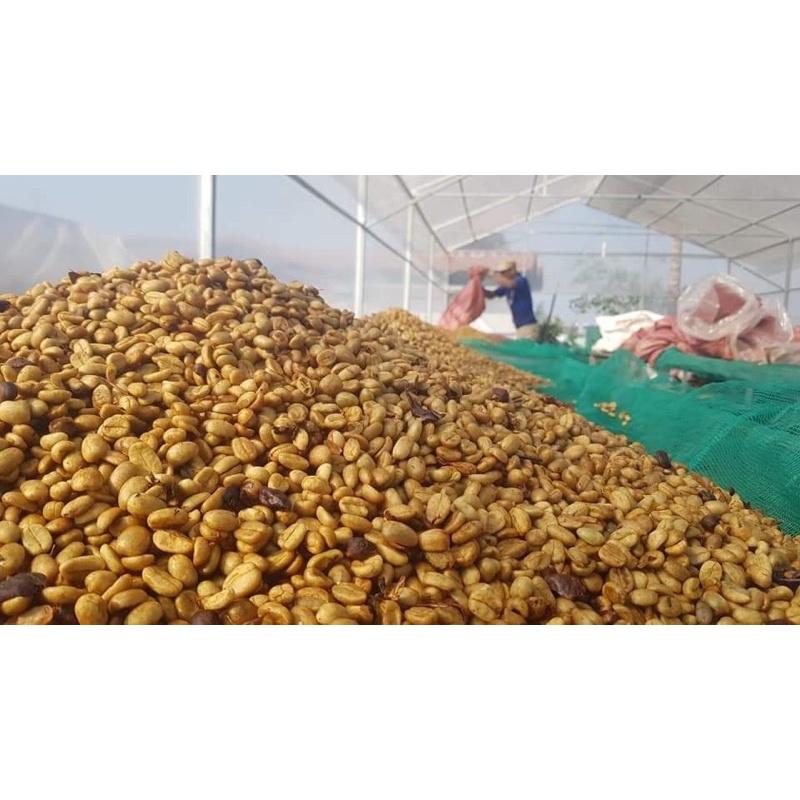 Túi thơm cà phê từ 100% hạt Arabica nguyên chất khử mủi ô tô, tủ, văn phòng làm việc