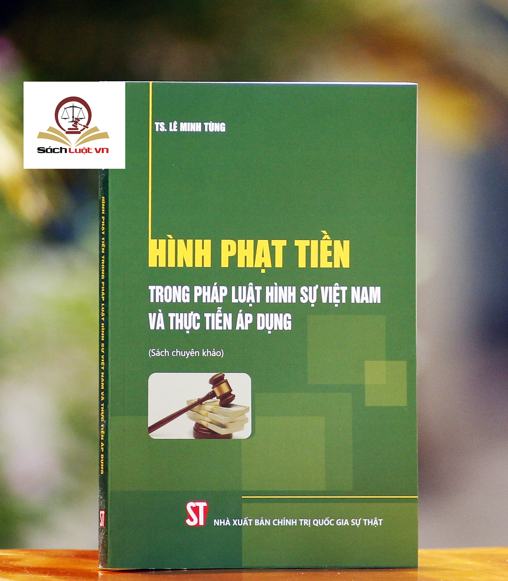 Sách - Hình phạt tiền trong pháp luật hình sự Việt Nam và thực tiễn áp dụng