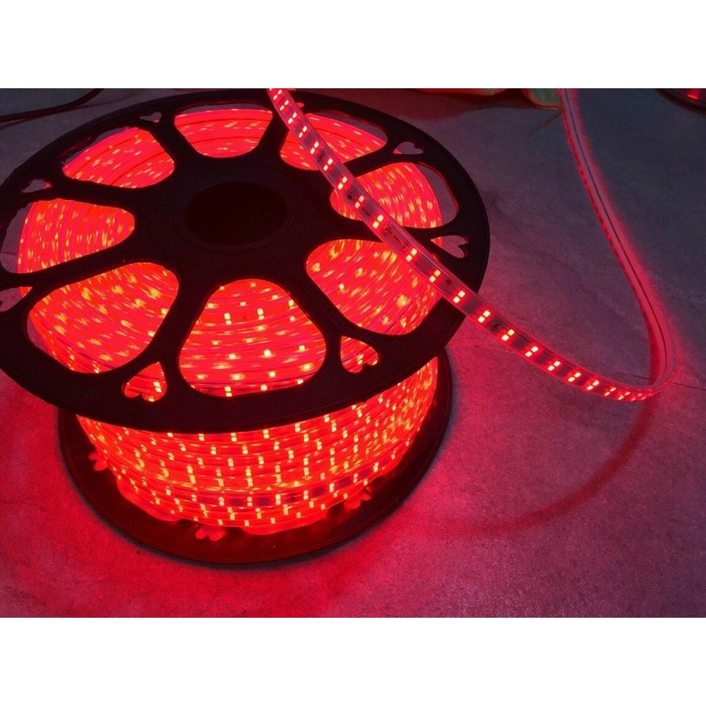 Led cuộn 2835 trắng/vàng/dương/lá/hồng/đỏ điện 220V cuộn 100M sử dụng ngoài trời, trang trí quán cà phê