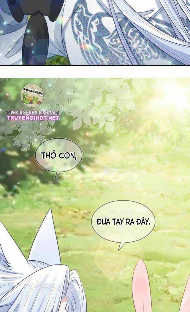 hắc hóa nam chính trực tuyến nuôi thỏ chapter 17 20