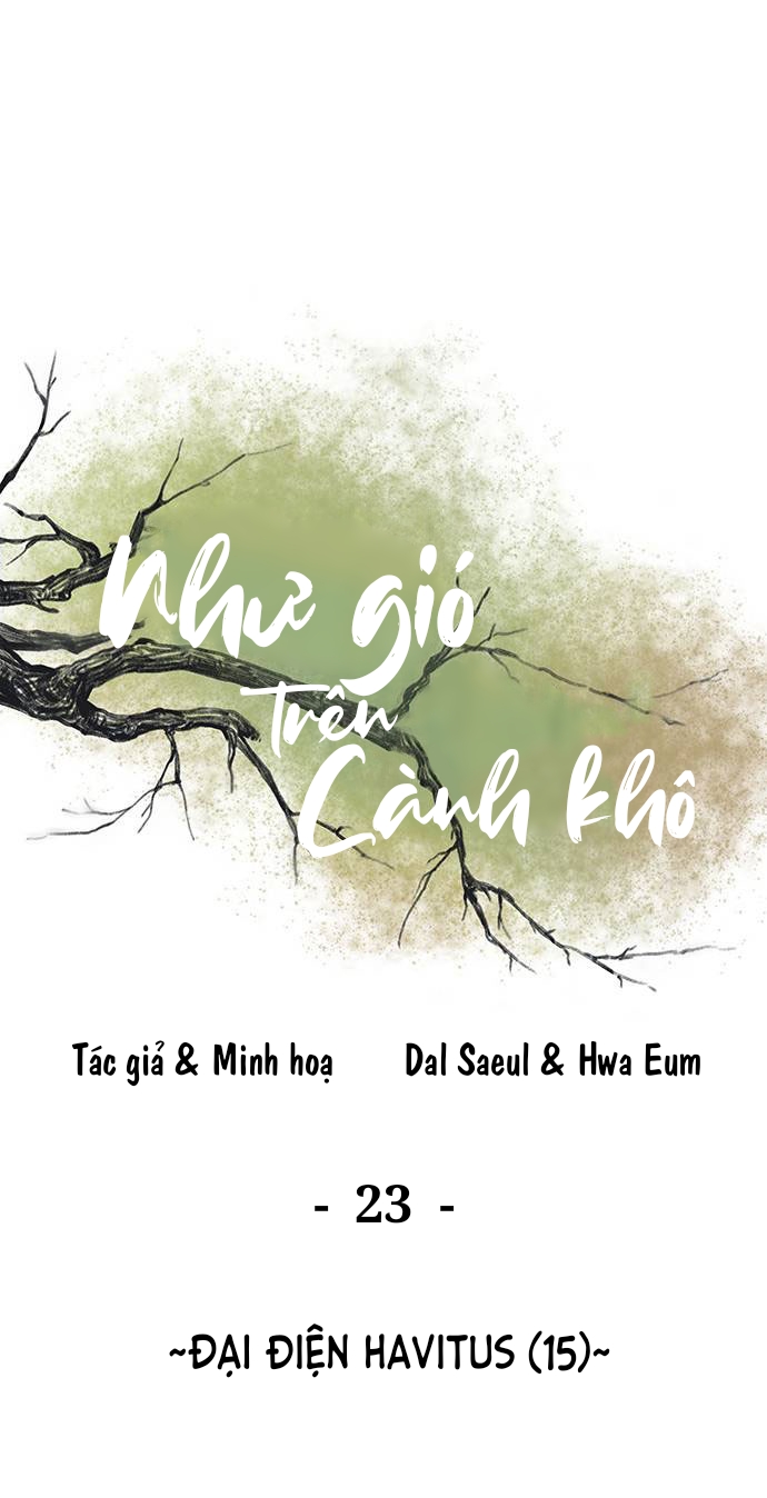 như gió trên cành cây khô chapter 23 1