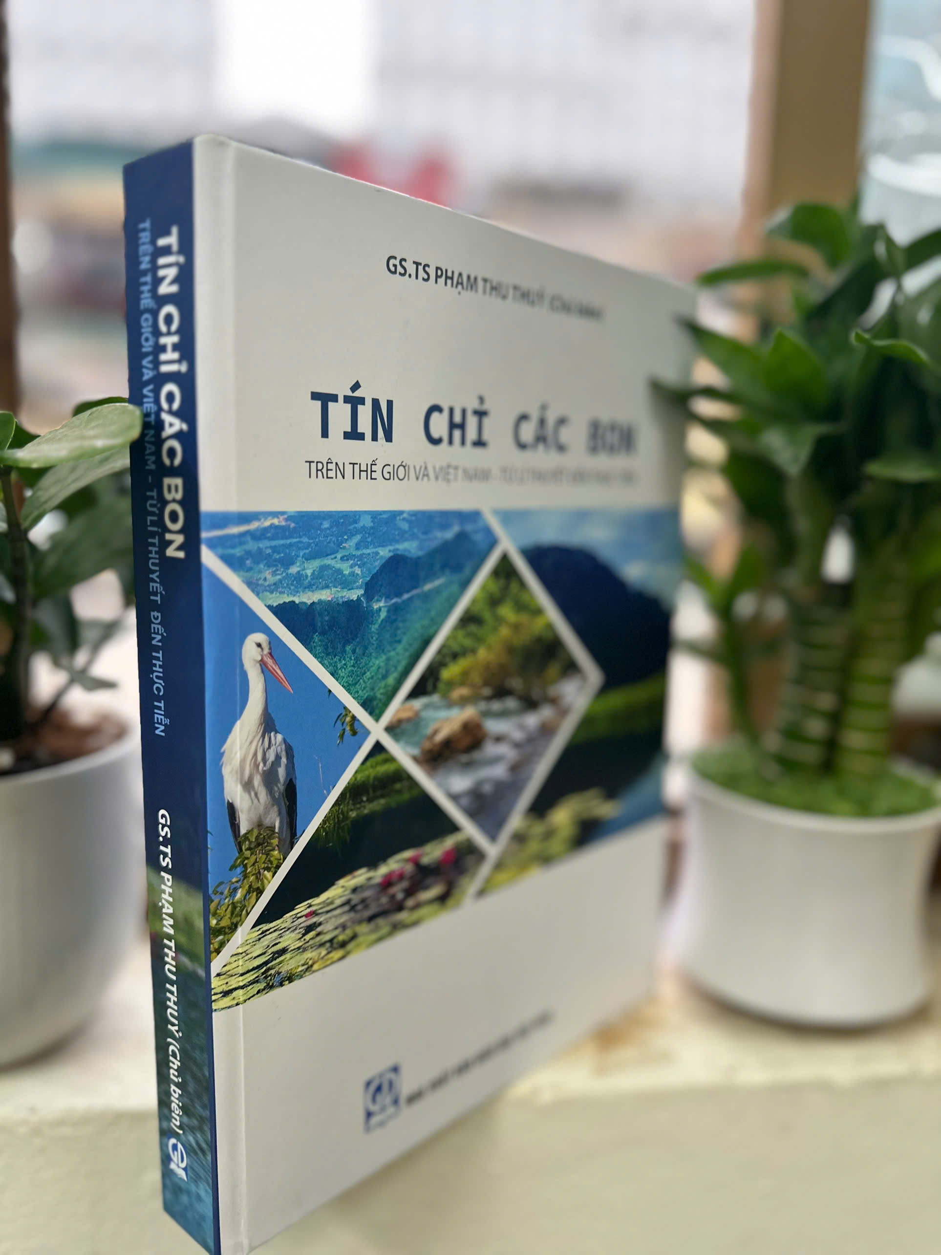 Tín chỉ các bon trên thế giới và Việt Nam - Từ lí thuyết đến thực tiễn