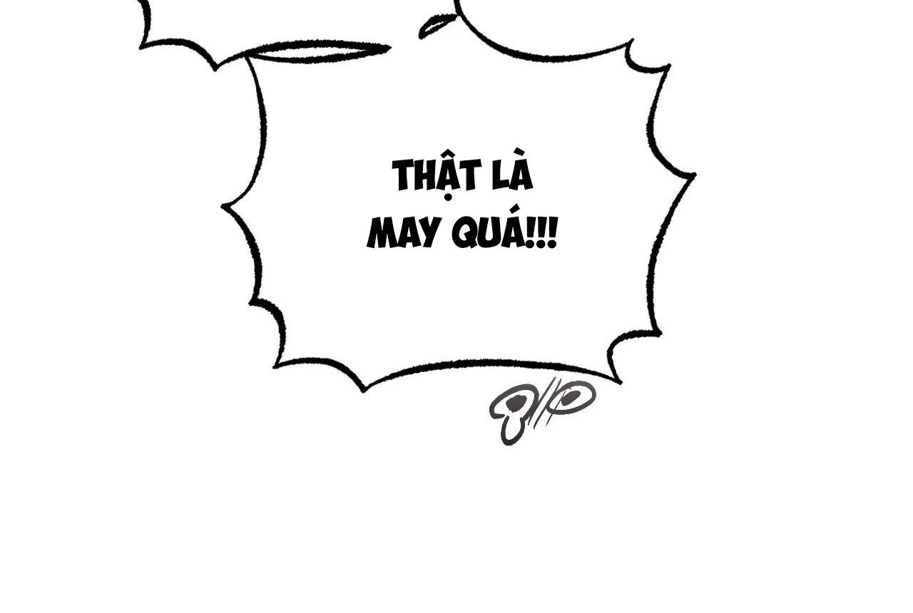 những chú thỏ của hapypy chapter 65 92