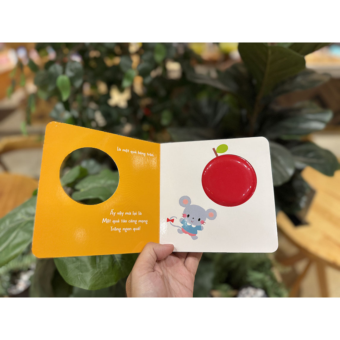 Thứ tròn trĩnh này là gì vậy? - Sách tranh chạm của Arakawa Shizue (mới)