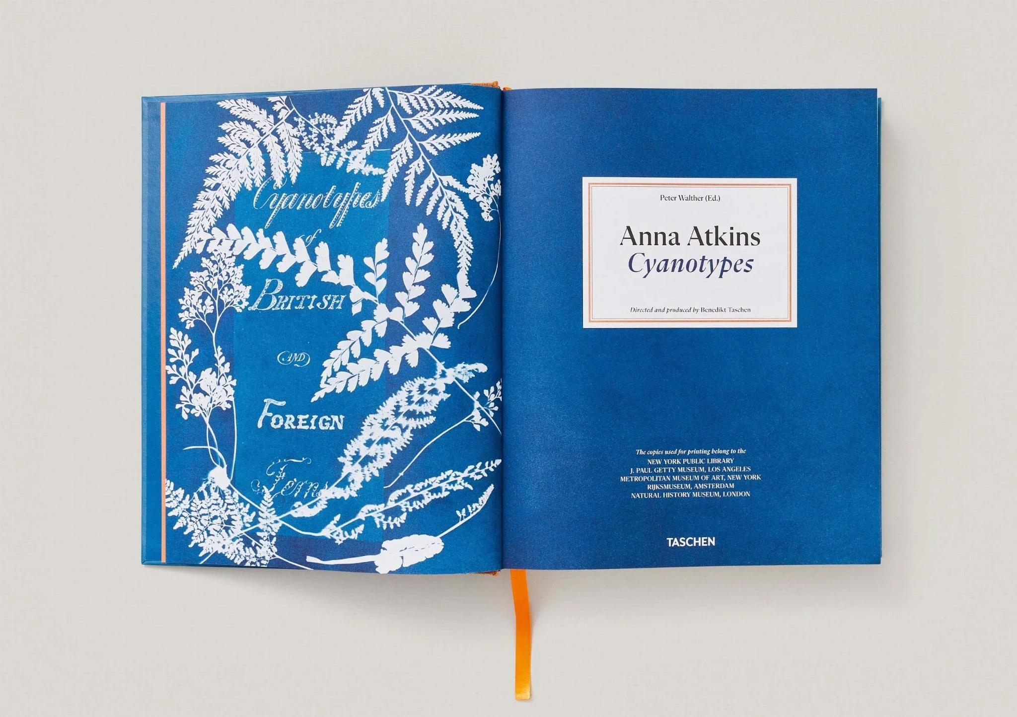 Artbook - Sách Tiếng Anh - Anna Atkins: Cyanotypes