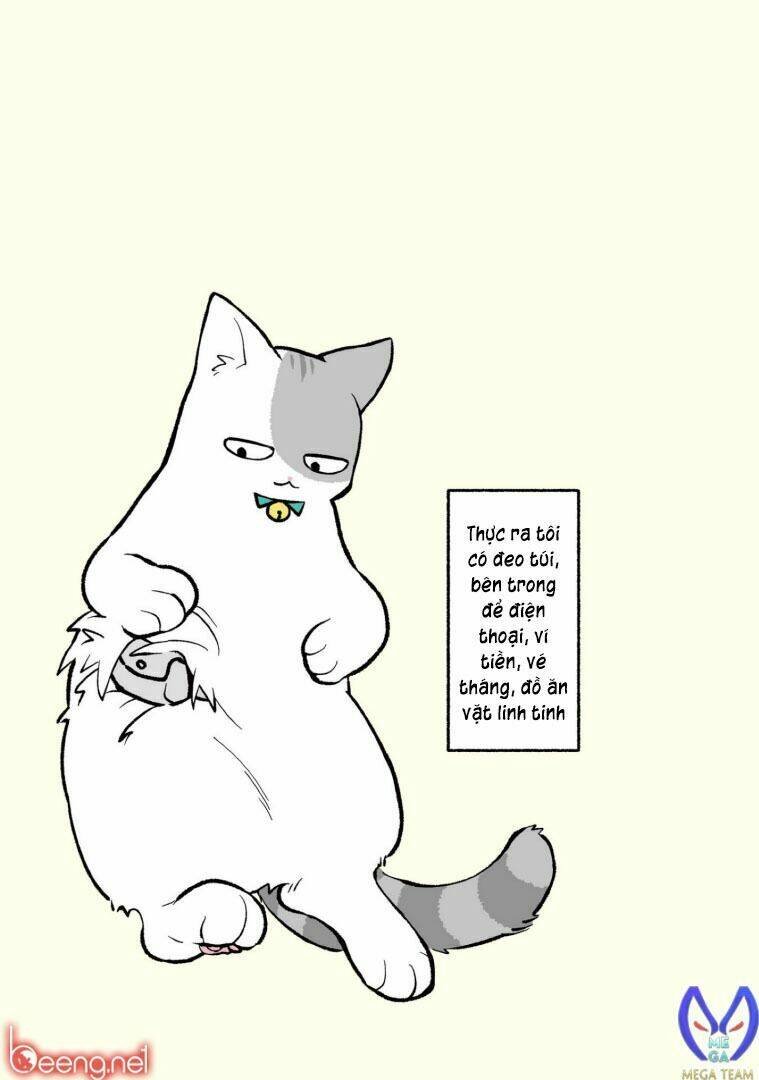 mèo công sở chapter 1 14